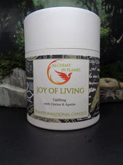 JOY OF LIVING MERCURY GLASS CANDLE