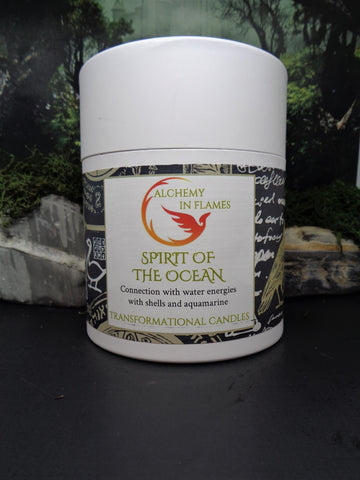 SPIRIT OF THE OCEAN MERCURY GLASS CANDLE