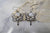 MOONSTONE DRAGONFLY HOOK EARRINGS