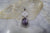SUPER 7 AND AMETHYST STAGTITE SLICE