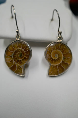 AMMONITE HOOK EARRINGS 1.5"